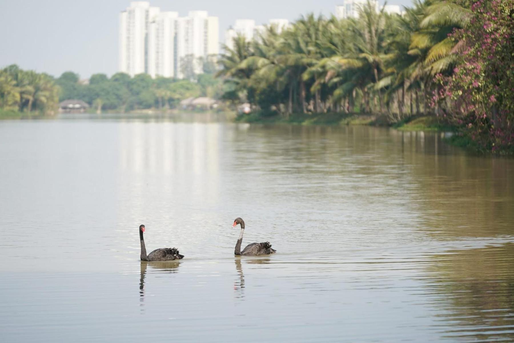 Bed and Breakfast Haven Park- Noi Nghi Binh An Hung Yen Екстер'єр фото